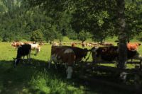 2015-07-01_1Pano-bei-Lacke (116).JPG